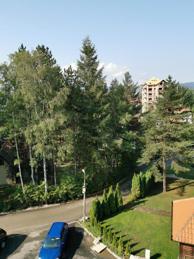 Apartman Stefanovic Vila Darija Lux Zlatibor Exteriér fotografie