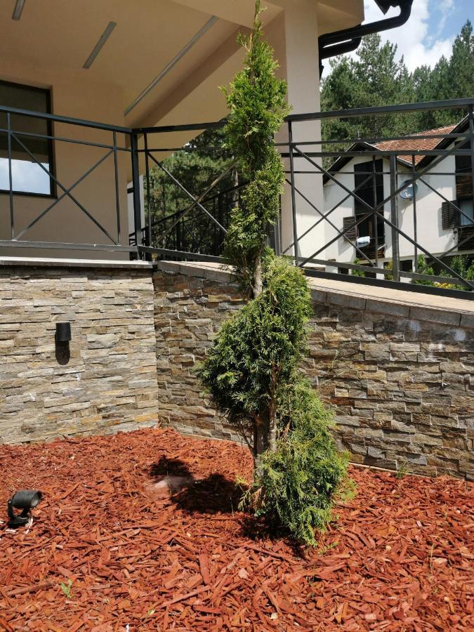 Apartman Stefanovic Vila Darija Lux Zlatibor Exteriér fotografie
