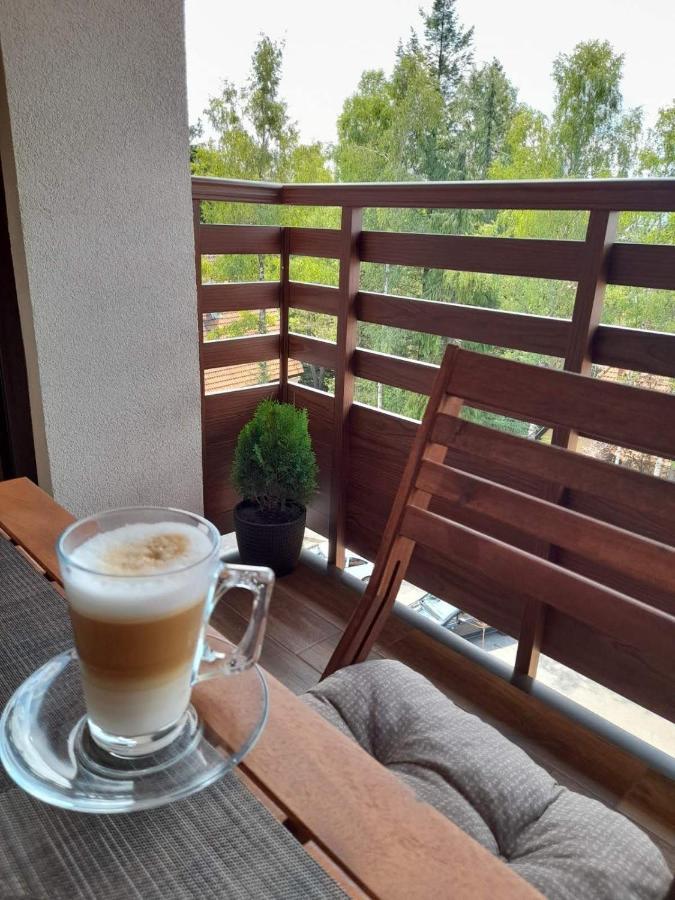 Apartman Stefanovic Vila Darija Lux Zlatibor Exteriér fotografie
